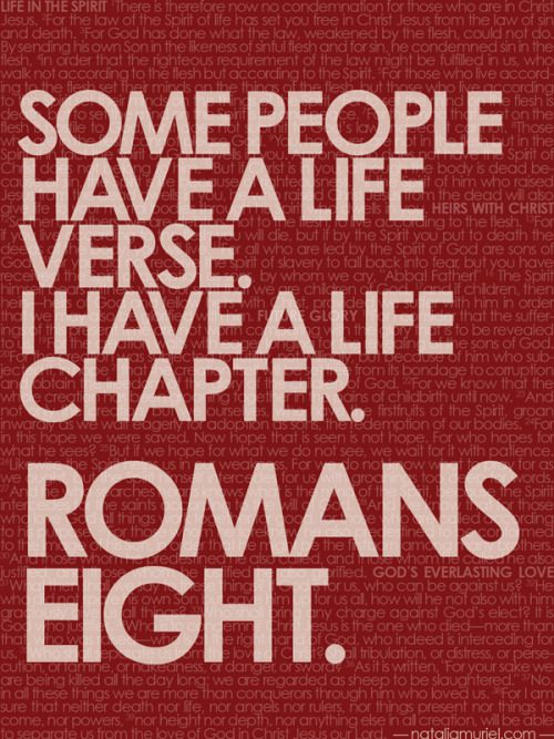 Romans 8 Life Chapter – Fortis Academy